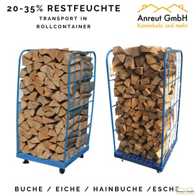 1 SRM Buche 20-35% Restfeuchte