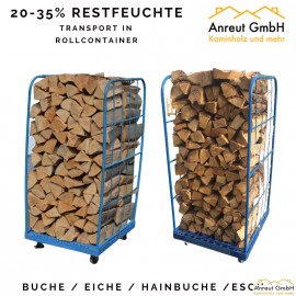 1 SRM Buche 20-35% Restfeuchte